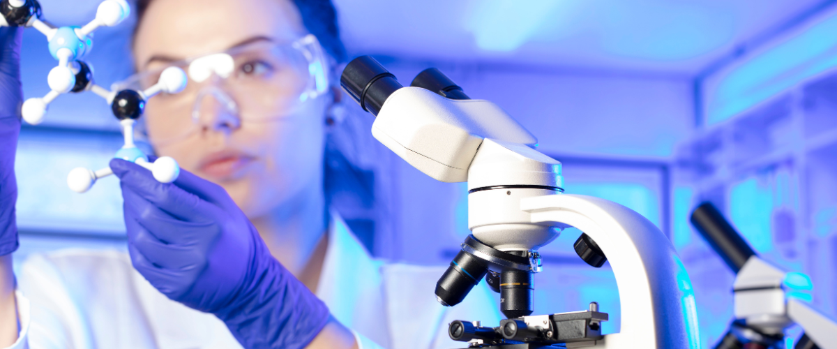 diseño sin título (8)