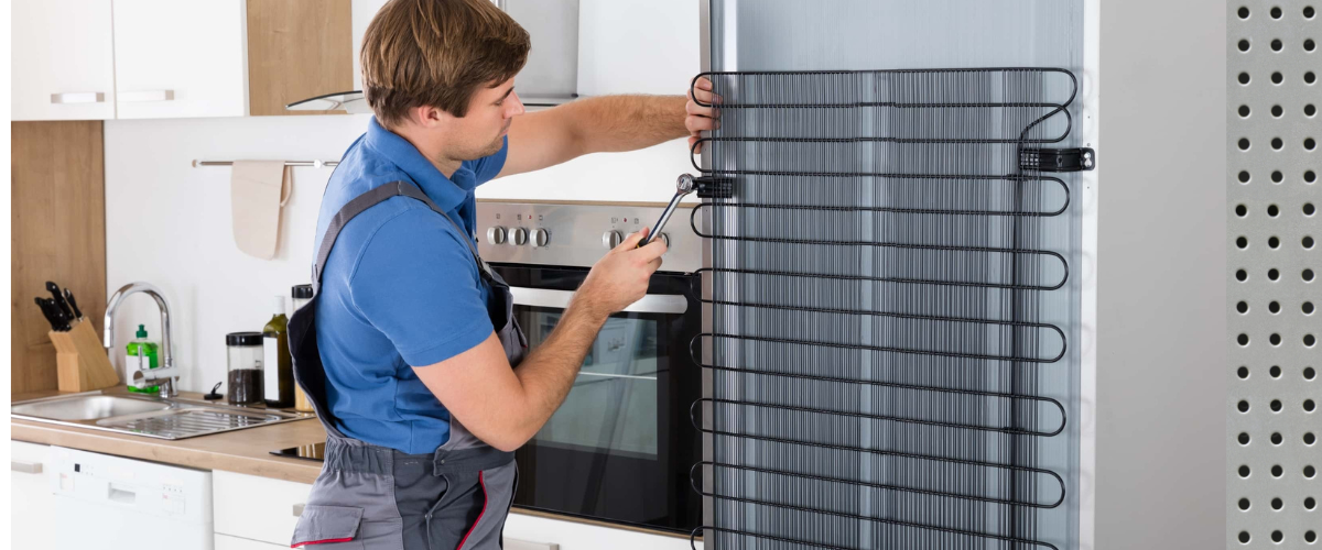 diseño sin título (35)